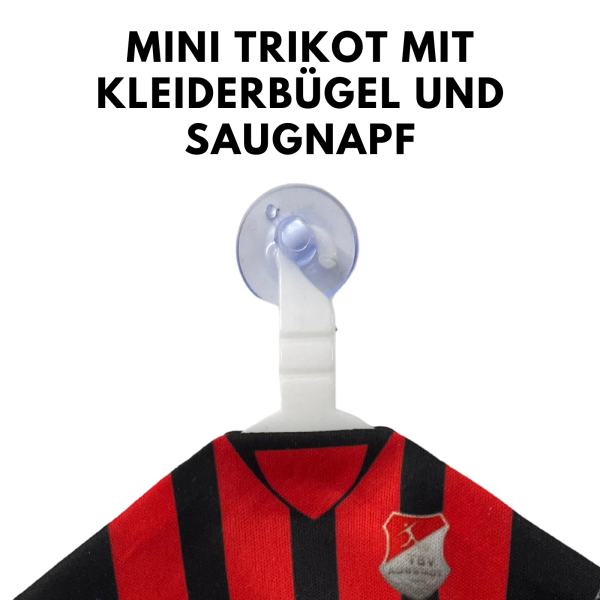 Aubstadt Mini Auto Trikot Schwarz Rot mit Logo, Rückennumer vorne und Name hinten